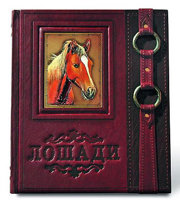 Книга "Лошади. Новая Энциклопедия", подарочное издание
