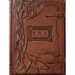 Книга "Библия", подарочное издание