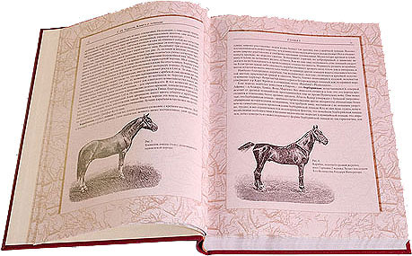 Книга о лошади, С. П. Урусов - в футляре