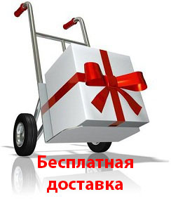 Бесплатная доставка